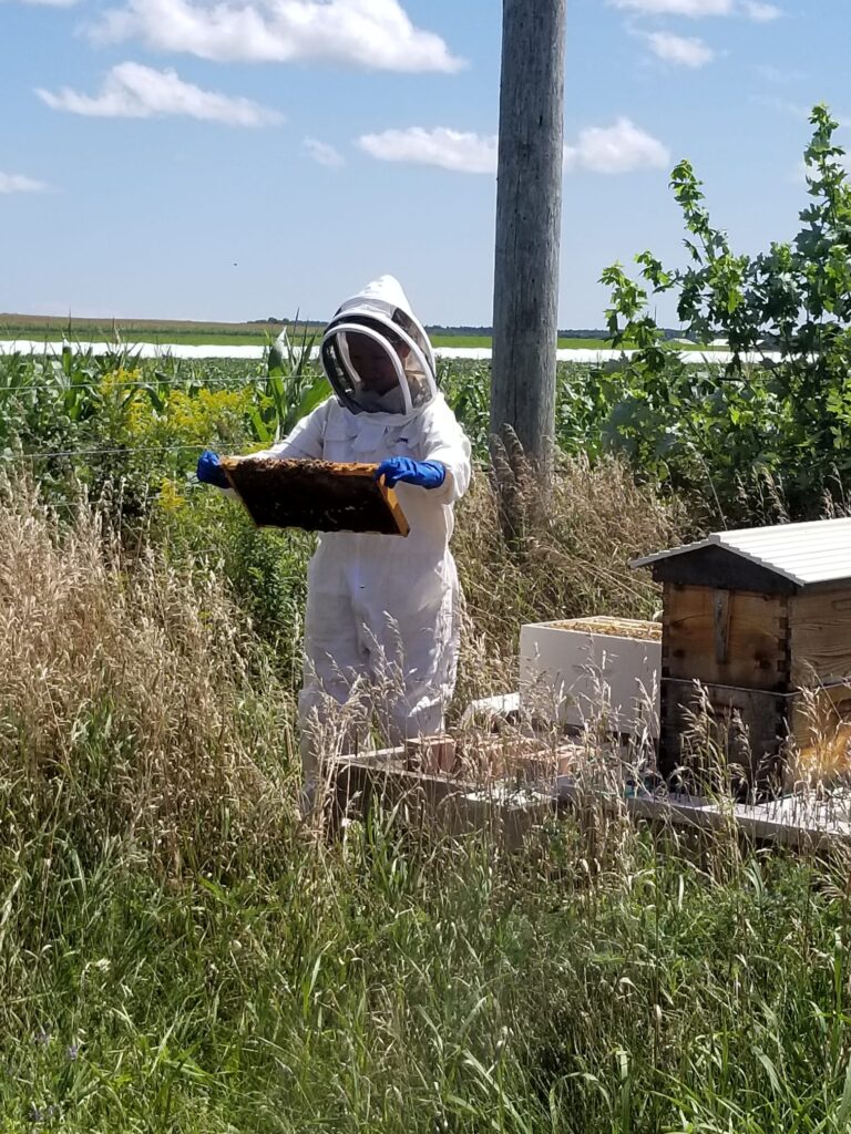 keeper at hive